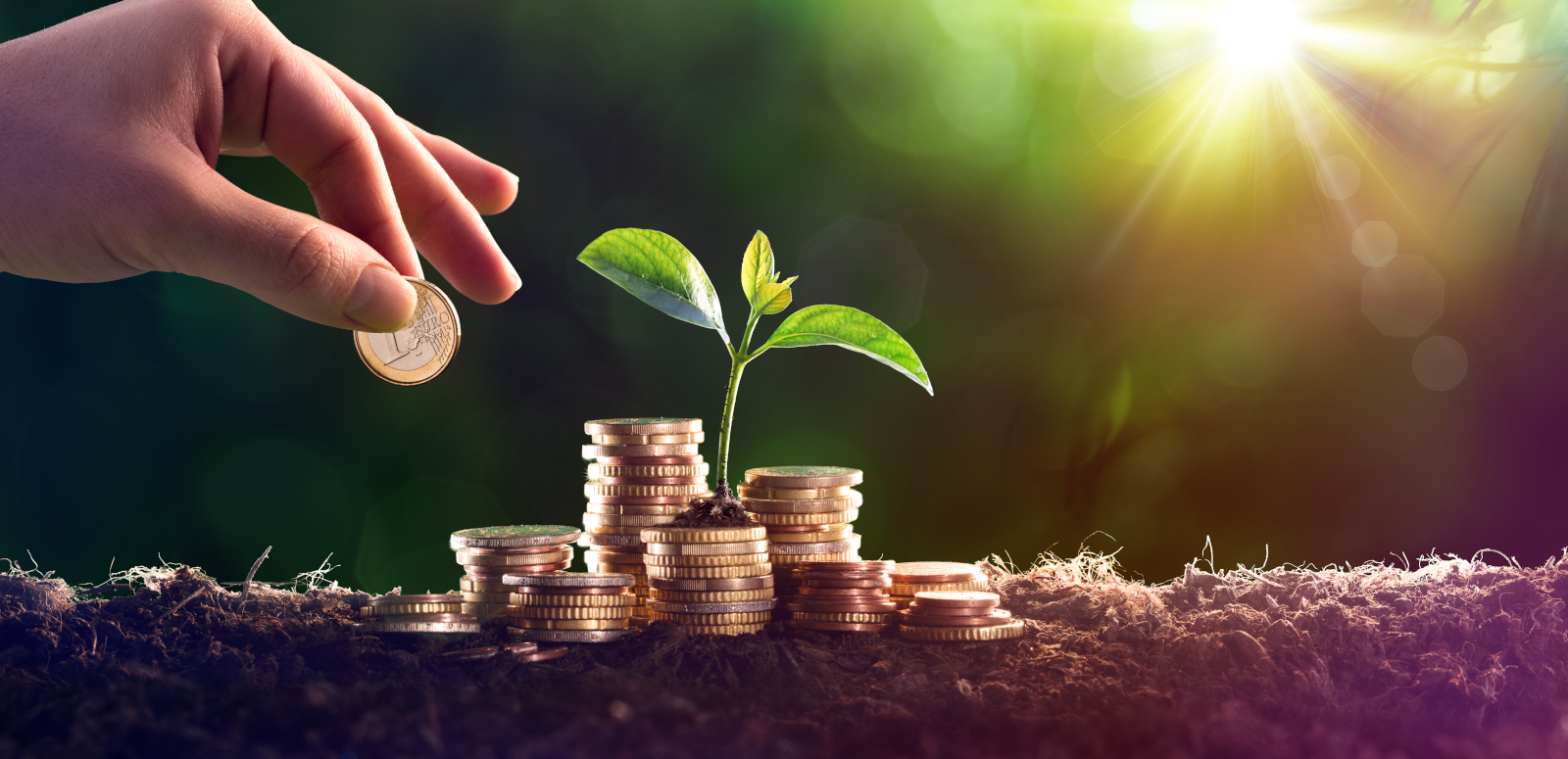 SOLAIREGIAMM - Aides et subventions