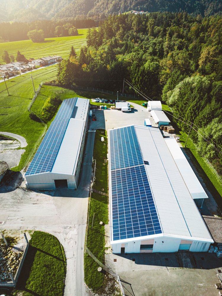 SOLAIREGIAMM - Vente et pose de panneaux photovoltaïques Colmar, Mulhouse, Sélestat, Wintzenheim, Horbourg-wihr